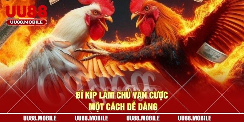Bí kíp làm chủ ván cược một cách dễ dàng
