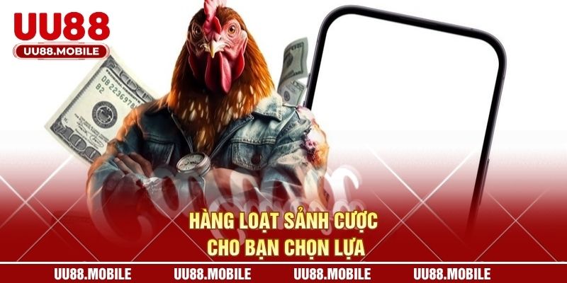 Hàng loạt sảnh cược cho bạn chọn lựa